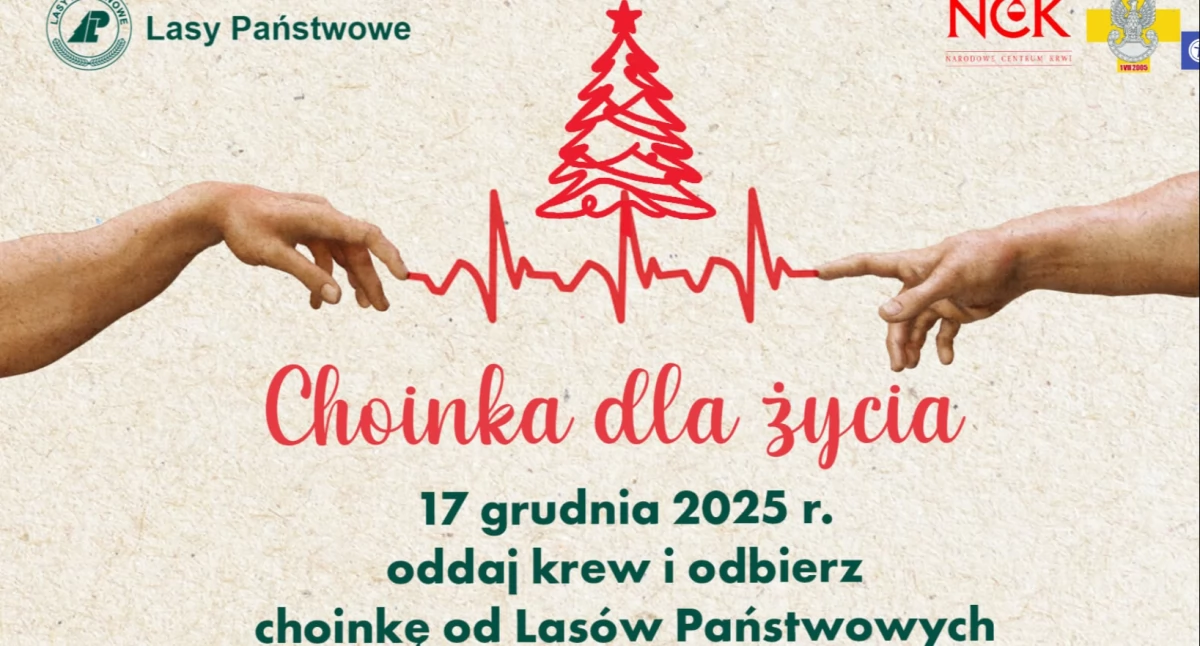 Zdrowie, Siedlce Oddaj odbierze choinkę! - zdjęcie, fotografia