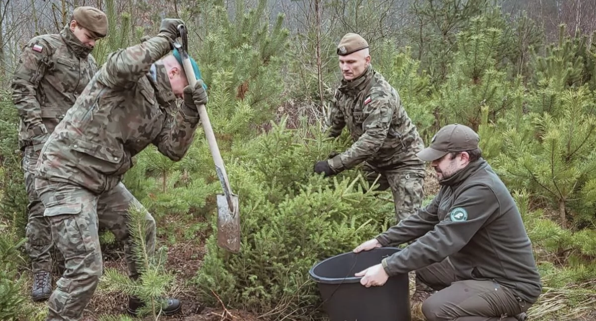 Wojsko, Choinka Zofii Wangrat łączniczki sanitariuszki Armii Krajowej - zdjęcie, fotografia