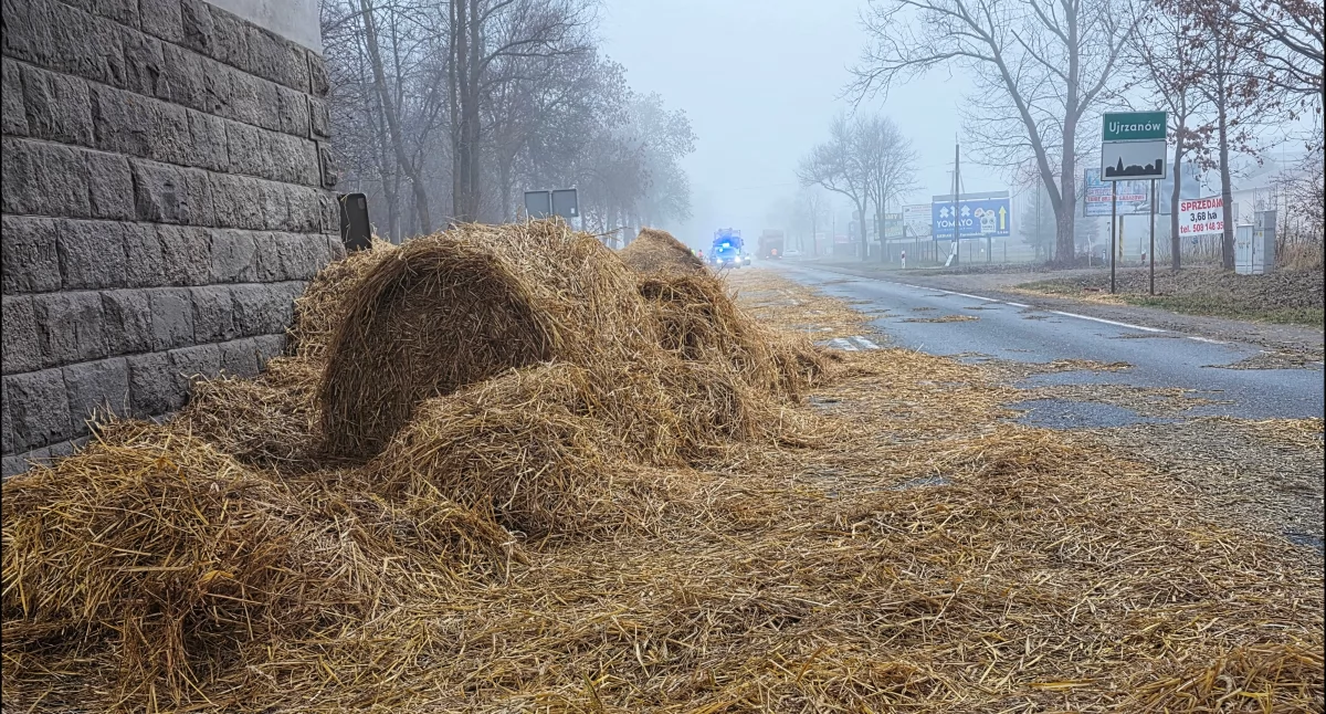 Ujrzanów: Ruch wahadłowy pod wiaduktem po zdarzeniu z ciężarówką przewożącą słomę - fot. Aga Król