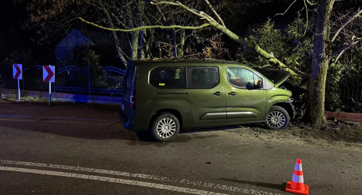 Minivan wypadł z drogi i uderzył w drzewo. Fot. OSP Dąbrówka-Stany