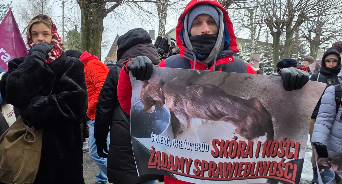 Zwierzęta, Protest Sobolewie Schronisko zostanie zamknięte - zdjęcie, fotografia