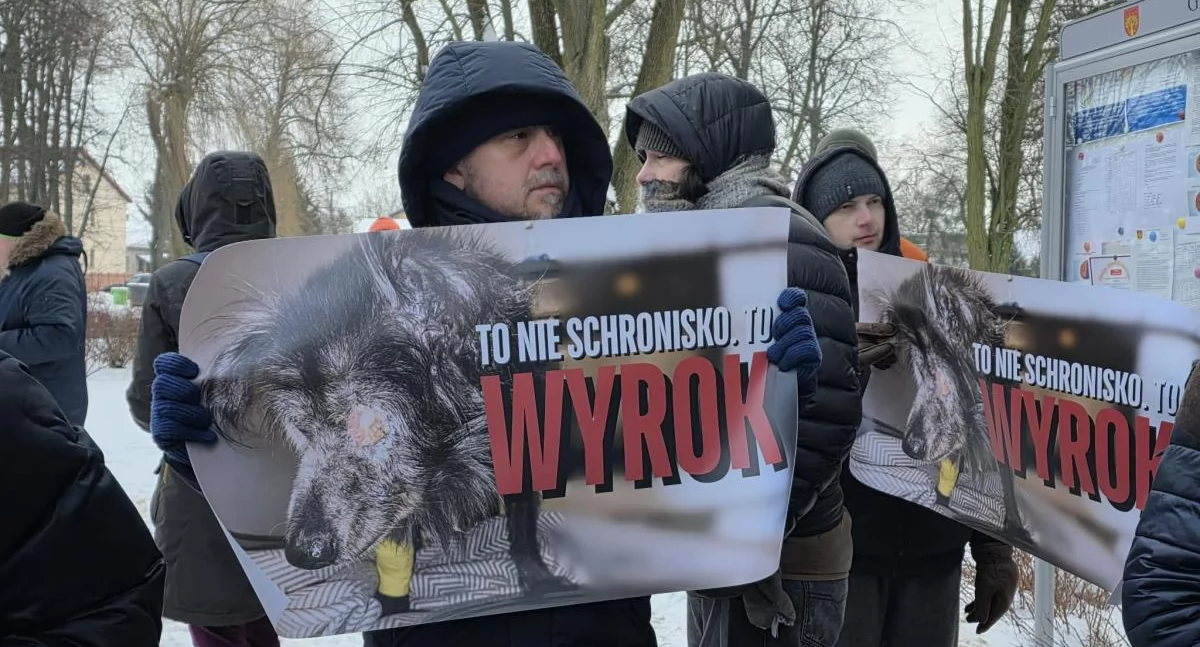 Interwencje , Sobolew schronisko zamknięte walka życie ponad zwierząt Ruszyła pilna zbiórka - zdjęcie, fotografia