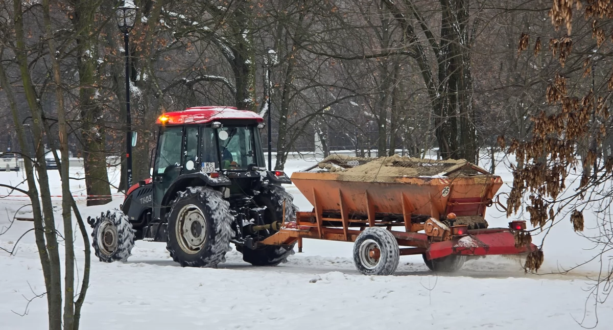 Dziś na siedleckich chodnikach można było spotkać całkiem sprytną piaskarkę. Fot. MP