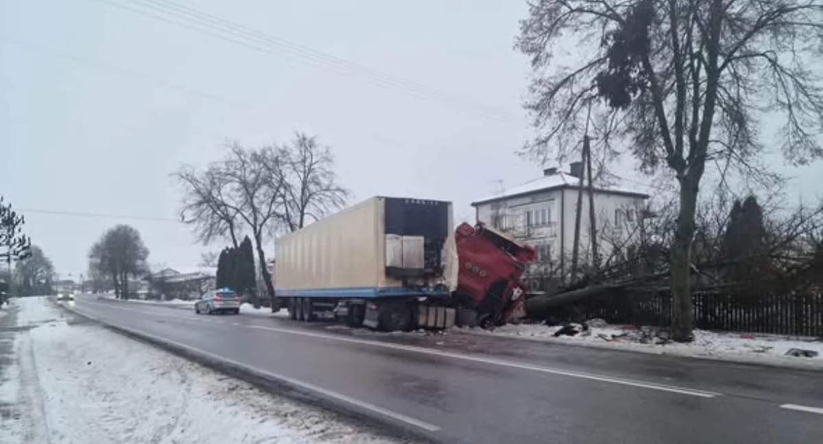 Ciężarówka ścięła drzewo. Zdjęcie Samochody Ratownicze