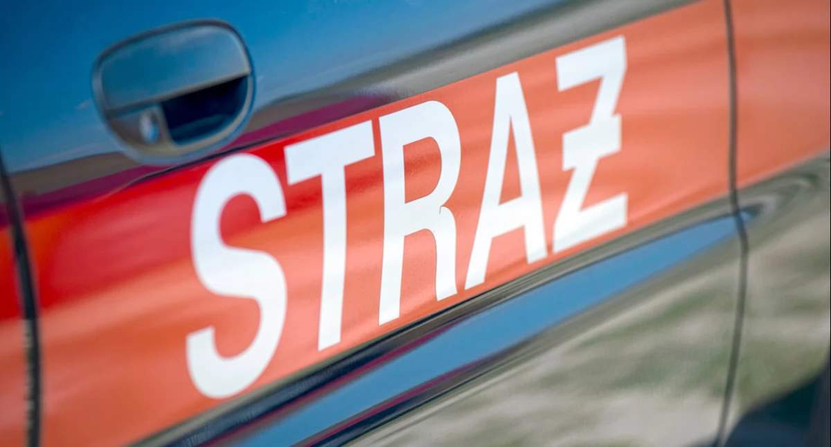 Zdjęcie symboliczne. Fot. Aga Król