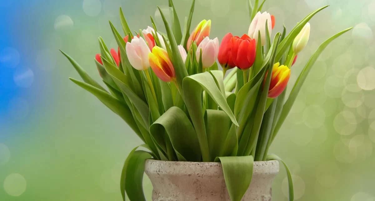 zdjęcie symboliczne, fot. pixabay