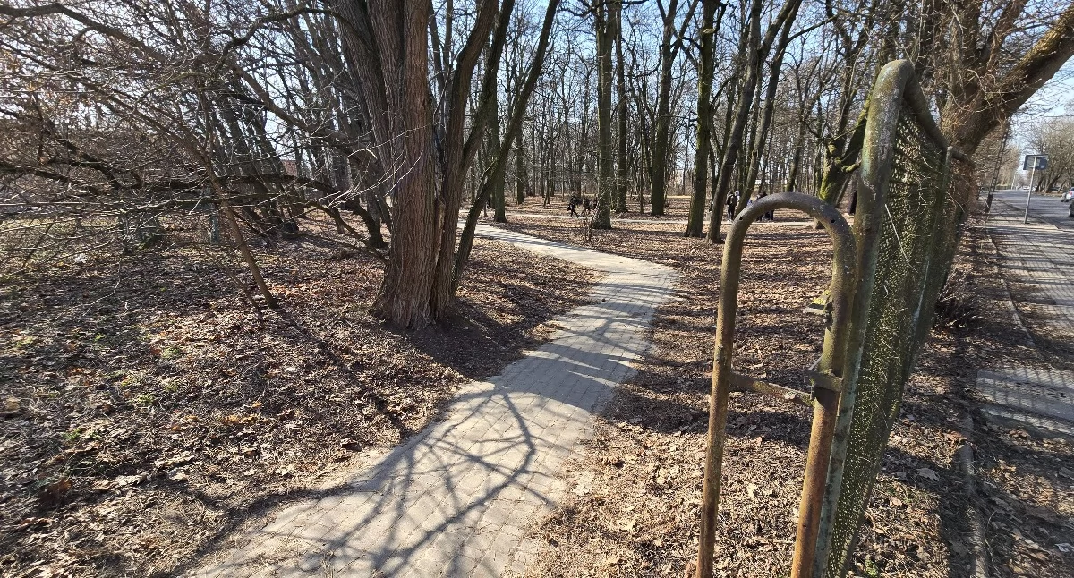 Stary Park na czas trwania prac rewitalizacyjnych najprawdopodobniej zostanie zamknięty. Fot. MP