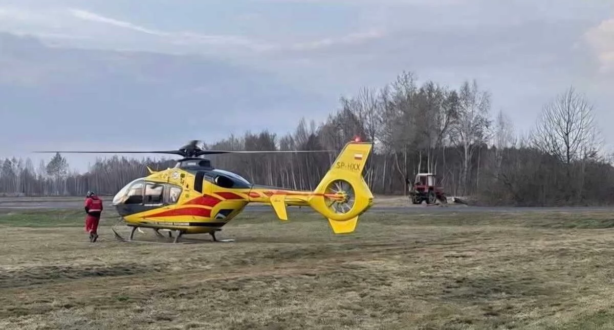 Kronika kryminalna, Wypadek wycince drzewa - zdjęcie, fotografia