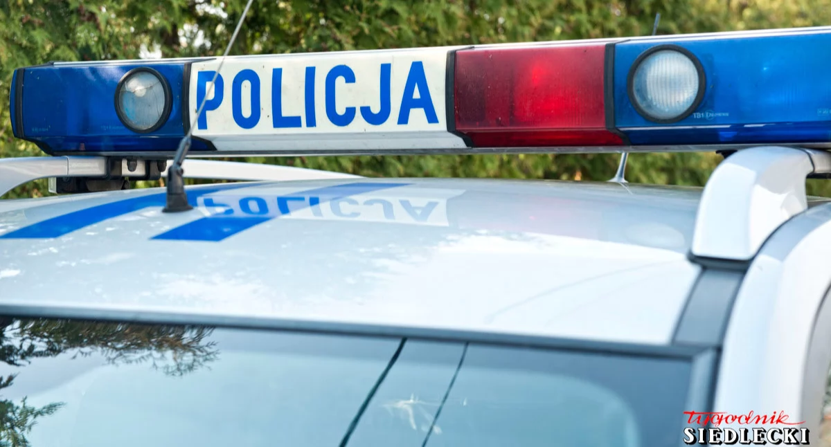 Pijany mężczyzna zniszczył figurę i zaatakował policjantów. Grozi mu do 5 lat więzienia - fot. Aga Król