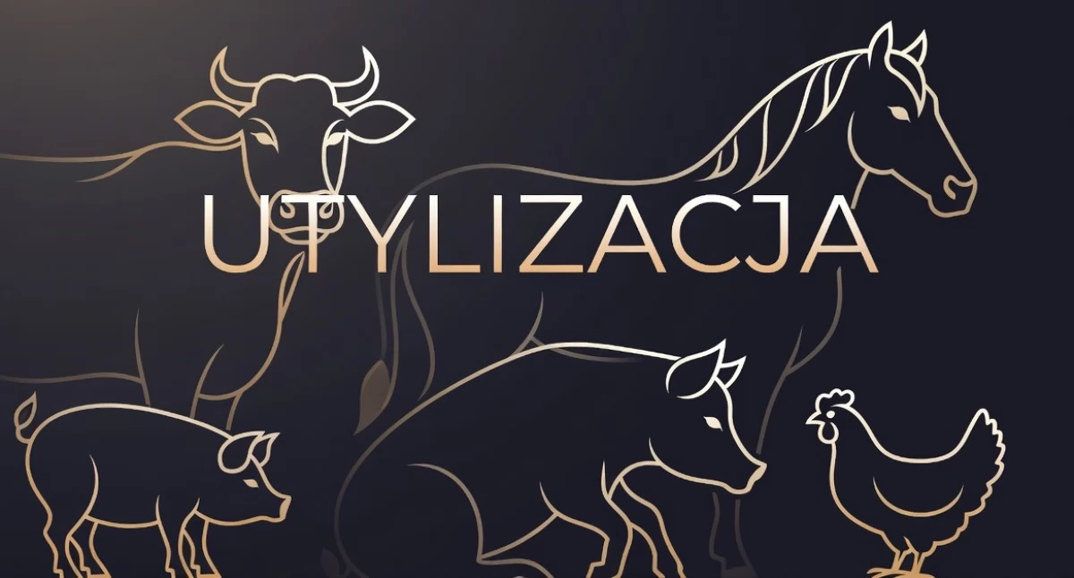Grafika AI Grok