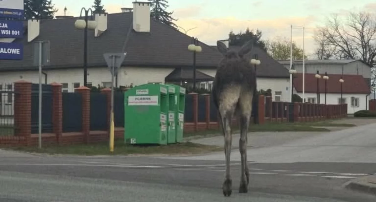 Fot. strona na FB społeczności Żelków-Kolonia 