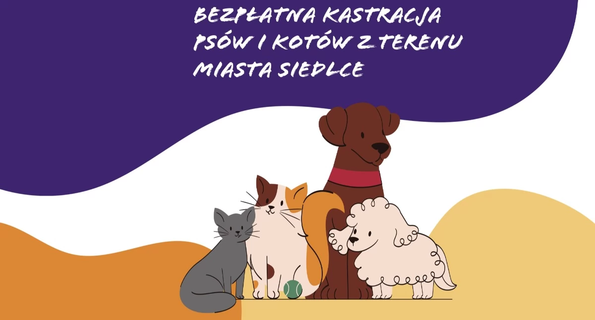 Zwierzęta, Bezpłatna kastracja psów kotów Siedlcach - zdjęcie, fotografia