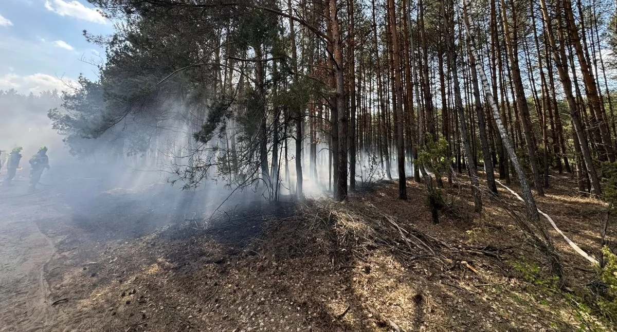 Fot. OSP Dąbrówka-Stany