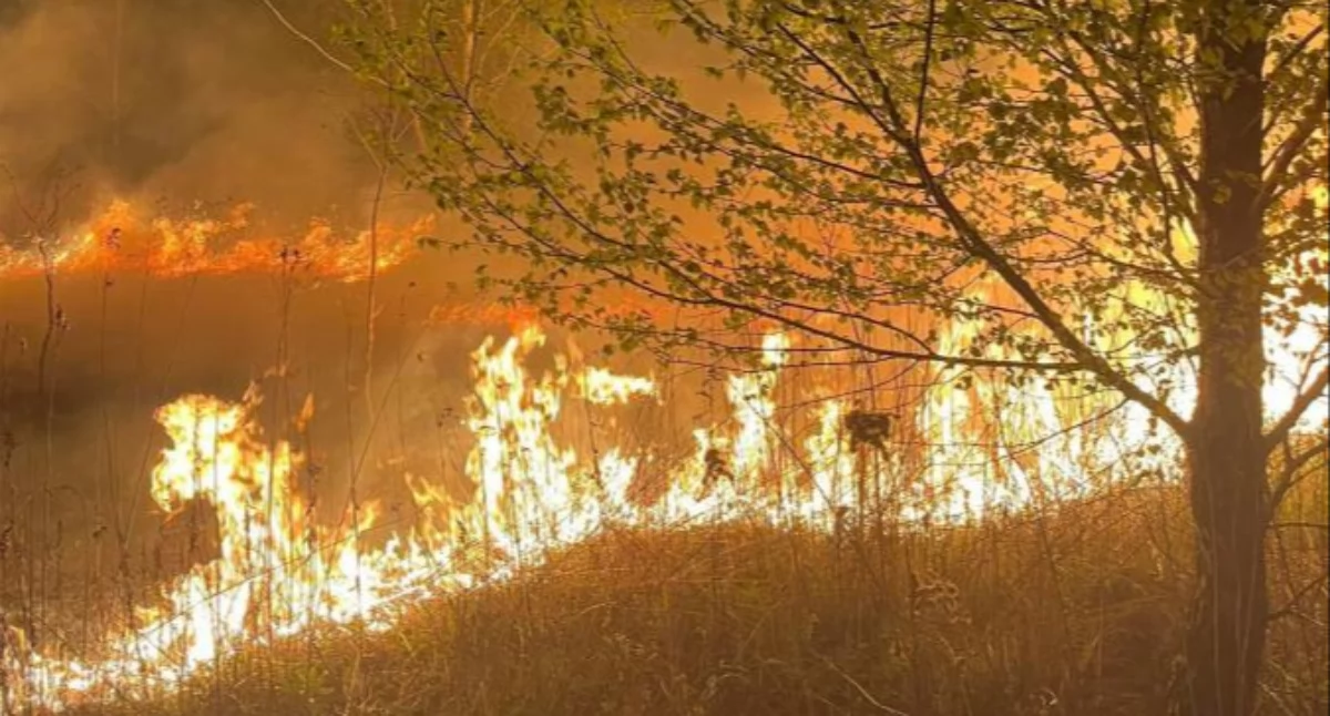 Seria pożarów w gminie Skórzec. 36 interwencji, nocne pożary i podejrzenia podpaleń - got. OSP Dąbrówka-Ług