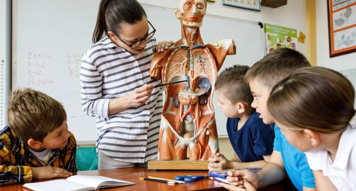 Promocja, Zdrowie zaczyna wiedzy przekazanej zrozumiały sposób Edukacja zdrowotna studia podyplomowe - zdjęcie, fotografia