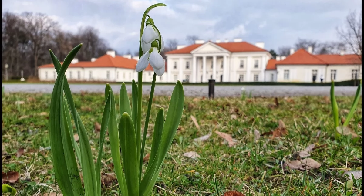 Fot. Aga Król