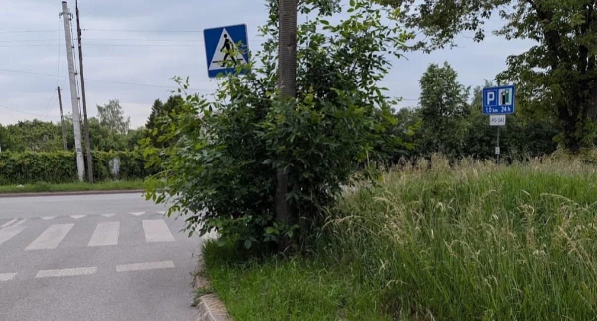 Fot. Czytelnik