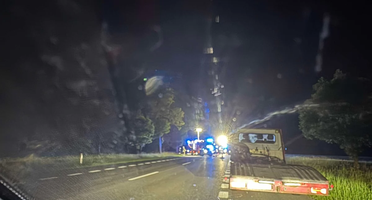 Zderzenie z łosiem na DK2. Kierowca trafił do szpitala - fot. Czytelnik