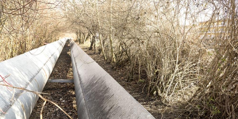 Trzeba jeszcze tylko wyciąć krzewy. fot. Janusz Mazurek - fot. 