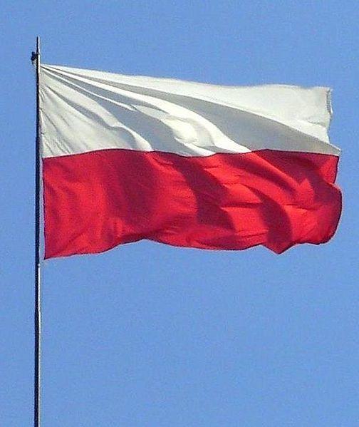 (źródło: Wikipedia) - fot. 