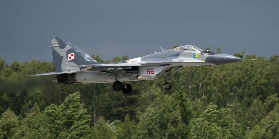 fot. Janusz Mazurek - fot. 