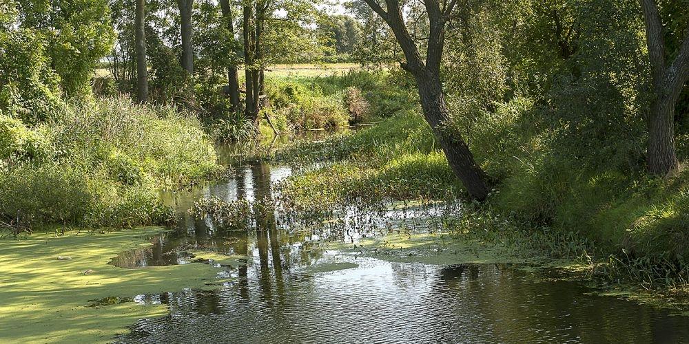 Liwiec bywa zdradliwą rzeką. Fot. Janusz Mazurek - fot. 