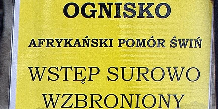 fot. Aga Król - fot. 