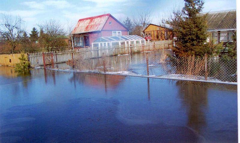 fot. Działkowiec - fot. 