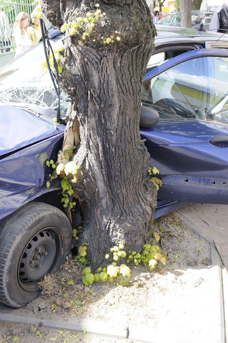  - fot. 
