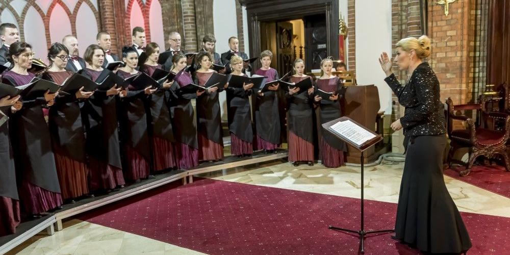 Zdjęcia Janusz Mazurek - fot. 