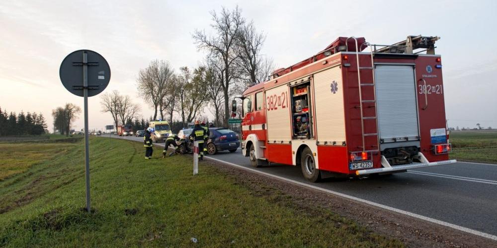 fot. Aga Król