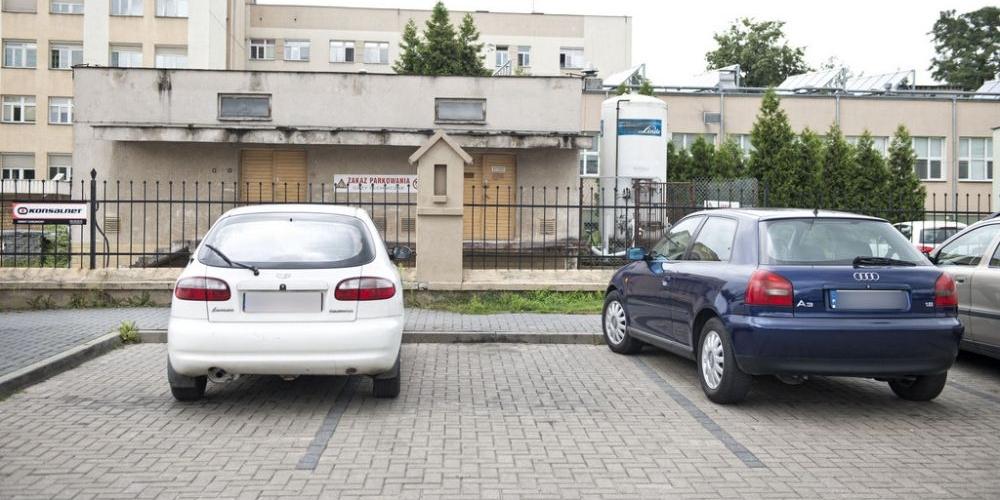 fot. Aga Król - fot. 