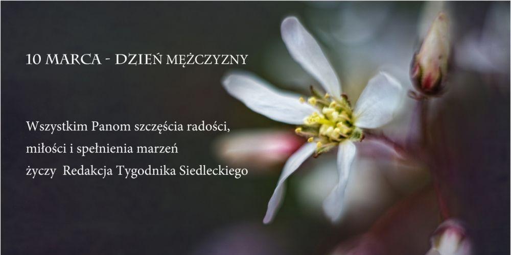 fot. Aga Król