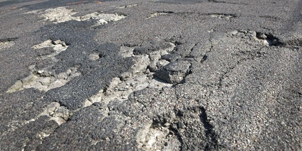 fot. Aga Król - fot. 