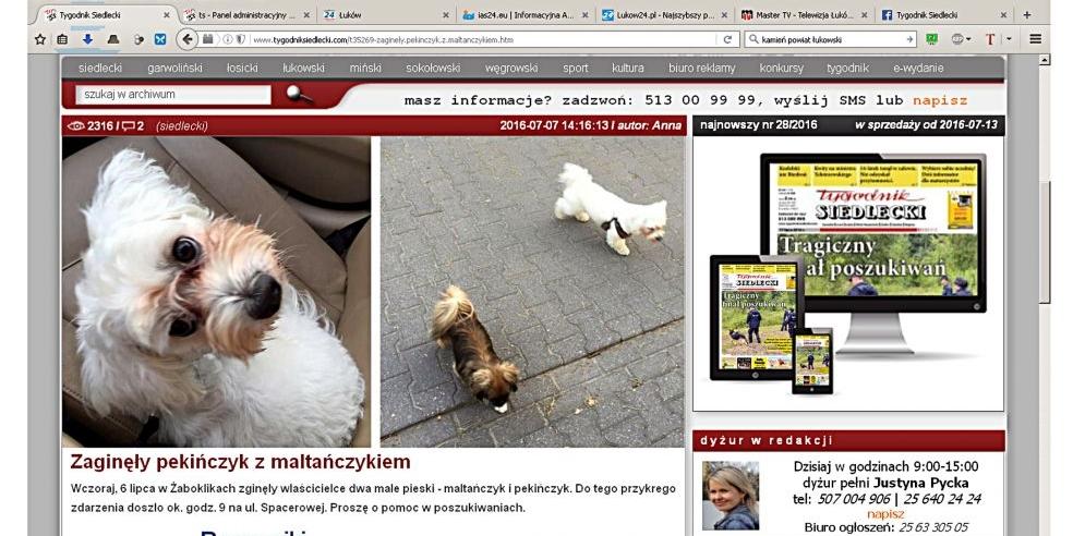 Printscreen artykułu. - fot. 