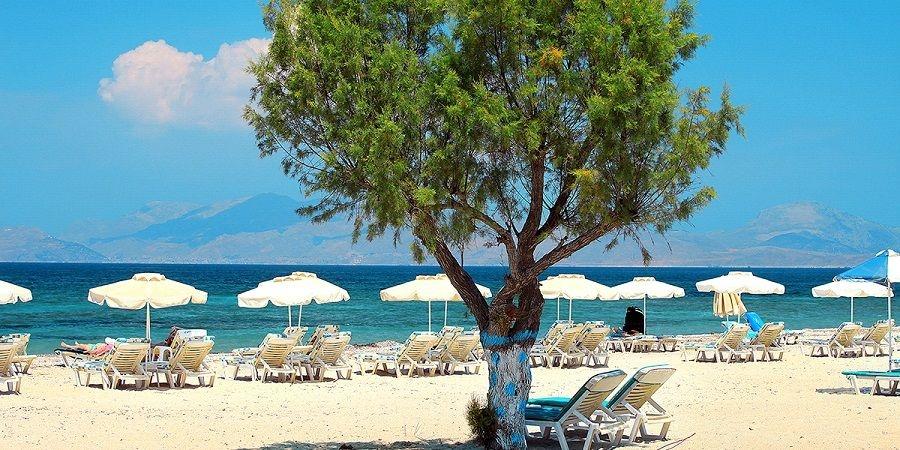 Kos - fot. d