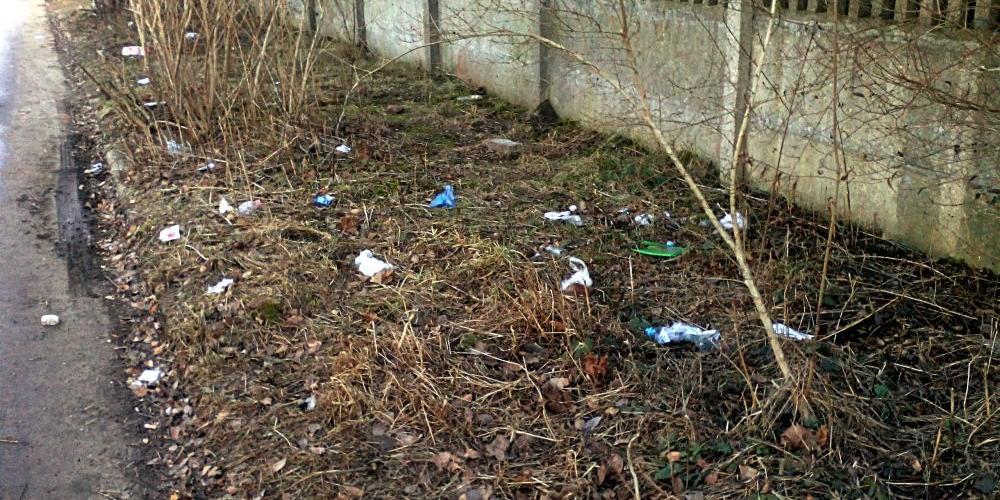 Zaśmiecony teren, o który powinni dbać właściciele posesji przy ul. Spokojnej w Siedlcach. Fit. Bozena T. - fot. 
