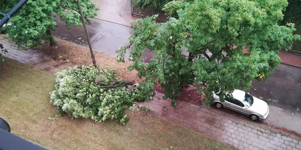 Siedlce ul. Żytnia fot. Łukasz  - fot. fot. Paweł M.