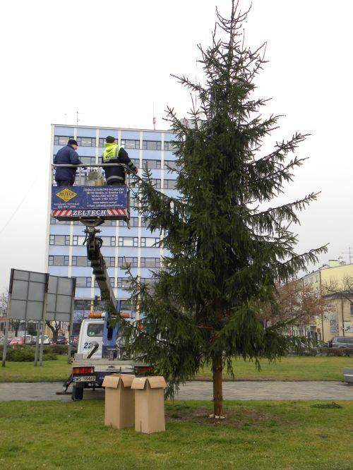 Choinka na placu Sikorskiego w Siedlcach (fot. sej) - fot. 