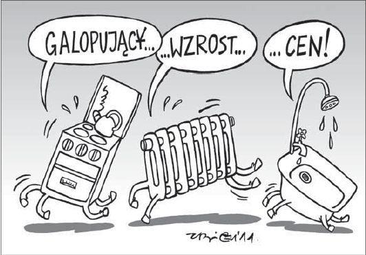 rys. M. Andrzejewski - fot. 