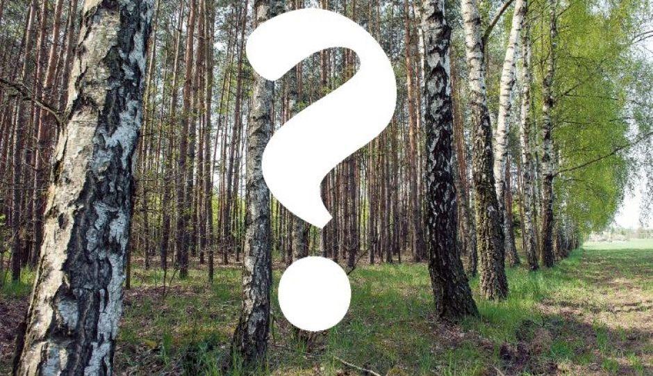 Co wydarzyło się w Kołaczu? fot. Janusz Mazurek