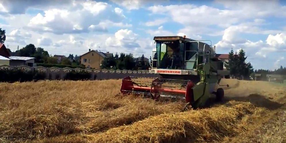 Zbliżają się żniwa a rodzina nie ma pieniędzy, żeby do nich przystąpić...
