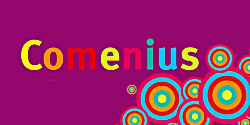 Z broszury programu Comenius. Collage (PGL) - fot. 