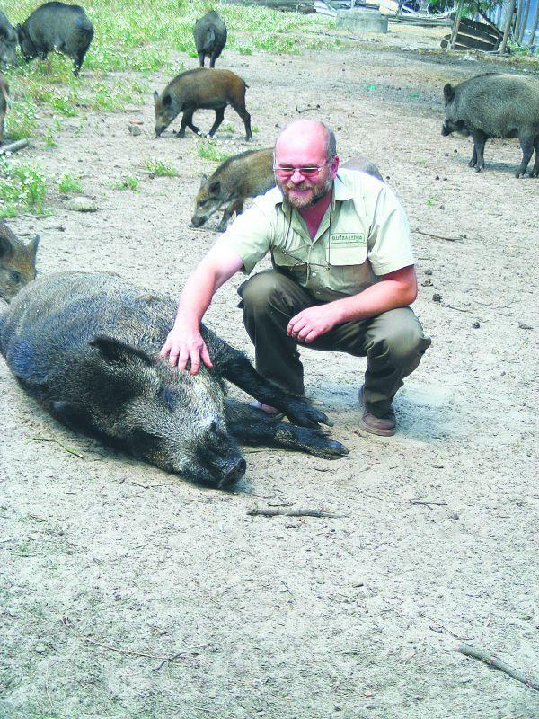 Krzysztof Musiej i dzik Borys, fot. jj - fot. 
