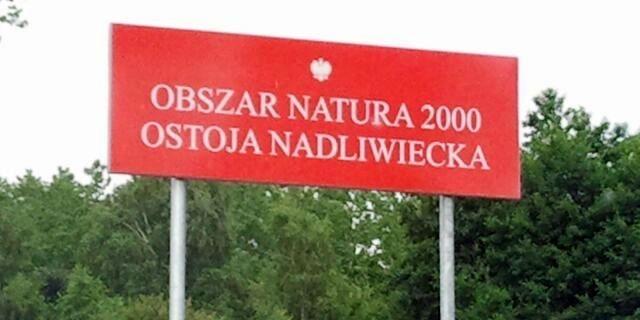 fot. Dariusz Kuziak - fot. 