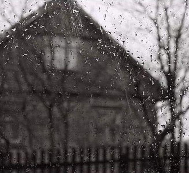 fot. A. Król - fot. 