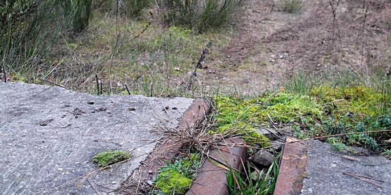 Nowa droga Kosów-Treblinka będzie przebiegała nasypem kolejowym. Fot. JP - fot. 