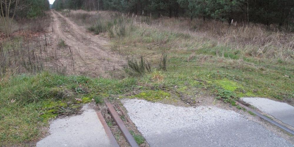 - fot. 