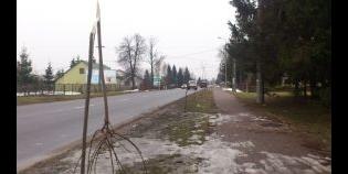 Fot. UM Sokołów Podlaski - fot. 