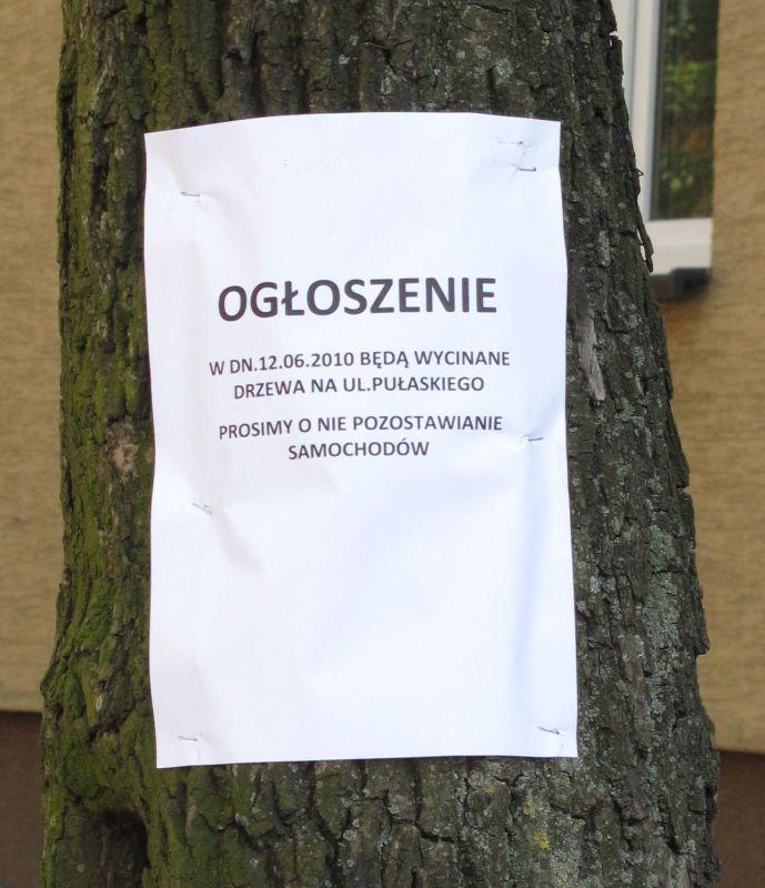 fot. Ana - fot. 